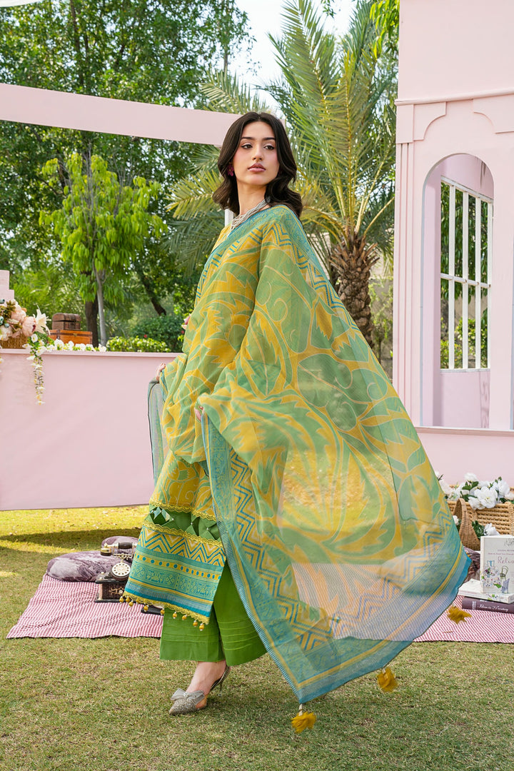 Rani Premium Womenswear - D-6506 – Rajah’s by SCIL