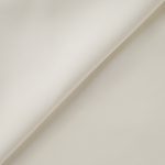 Egg Shell